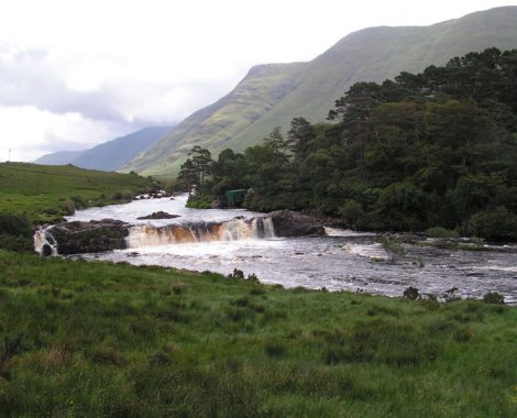 vue-riviere-chasse-becasse-irlande